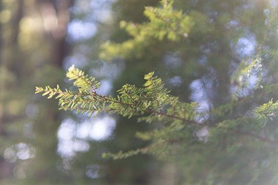 Personal memory photo 8