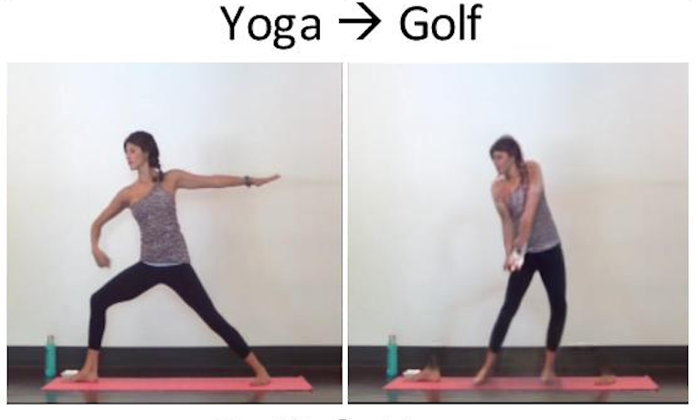 Synthesizing Humans in Unseen Poses teaser